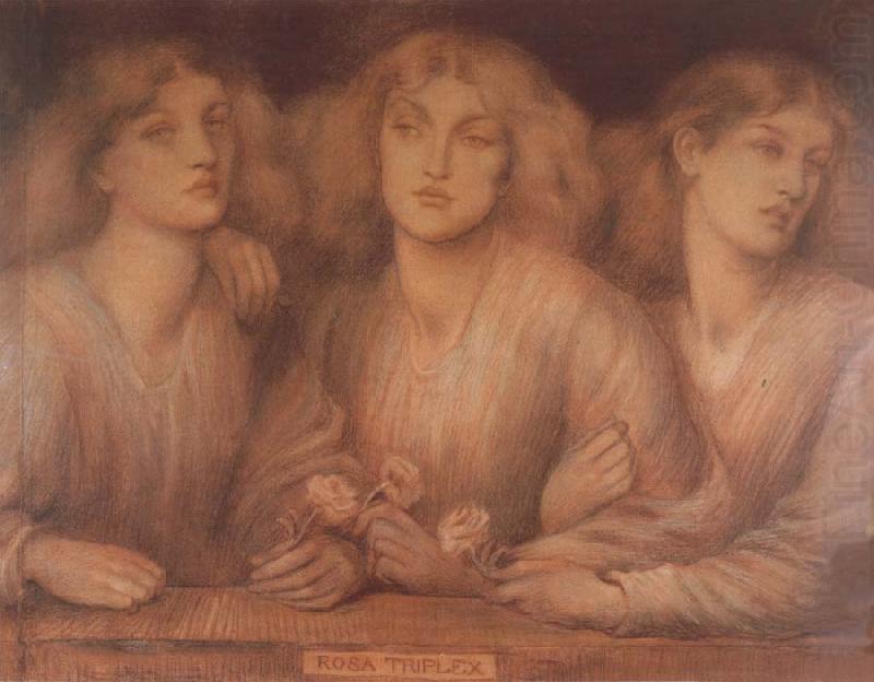 Dante Gabriel Rossetti Rosa Triplex china oil painting image
